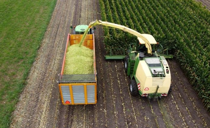 Unlocking the Future of Sustainable Agriculture: Investing in a Greener Tomorrow