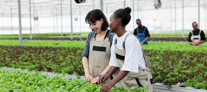 The Role of Sustainable Livestock Farming in a Greener Future