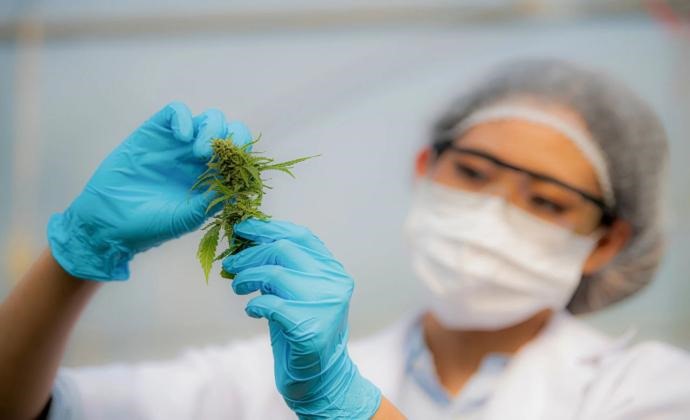 Cannabis Extraction Facility – Germany